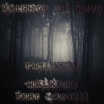 Twilight Walkers (Feat Mariël) cover art