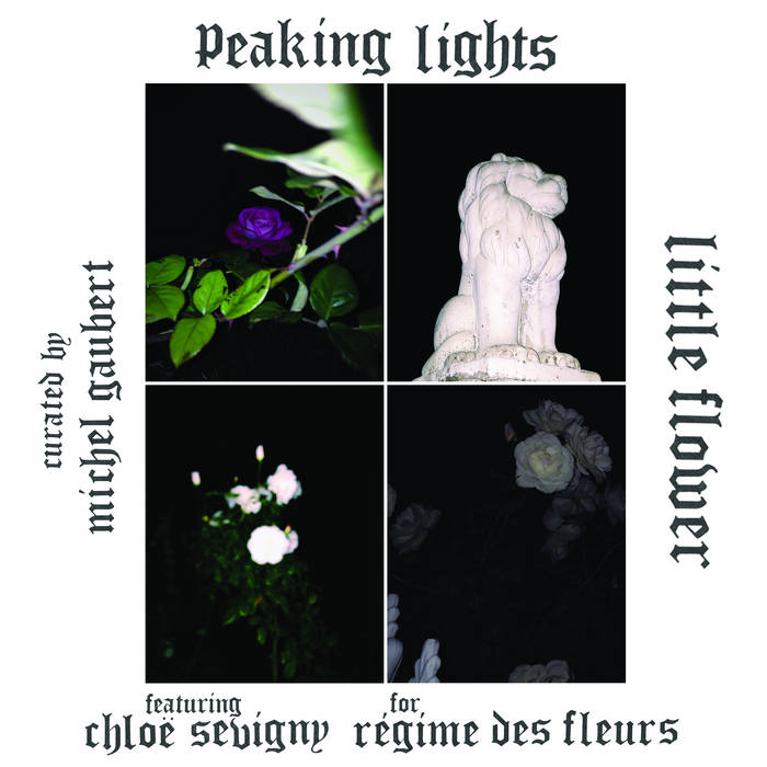 Little Flower 12" Vinyl Single | Peaking Lights