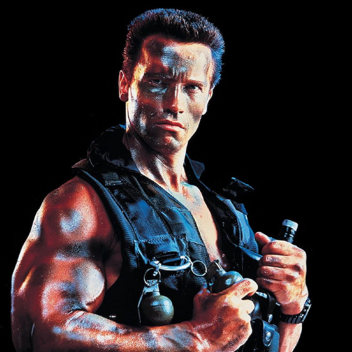 邦楽 DJ Schwarzenegger ARNOLD ARCHIVE 2 CD DJ Schwarzenegger – Arnold Archive 2 – CD (Album), 2009