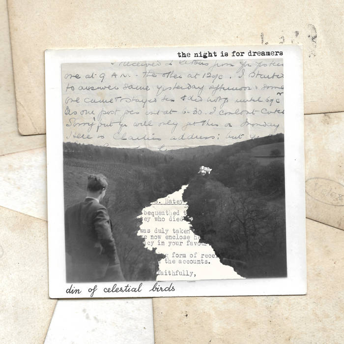 Dinofcelestialbirds Thenightisfordreamers