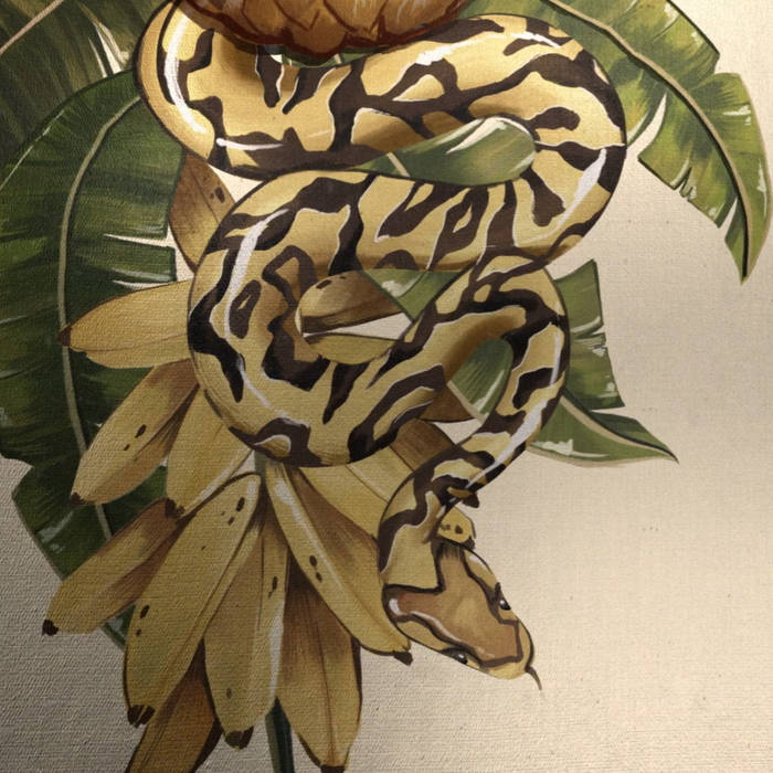 How To Draw Mickey Mouse In Python