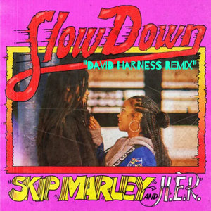 Slow Down (David Harness Remix) cover