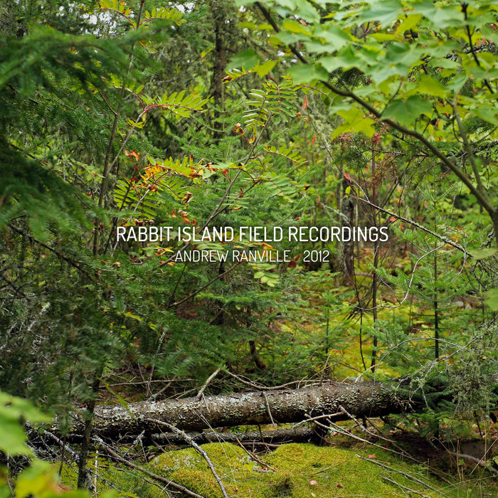 Rabbit Island Field Recordings | Andrew Ranville