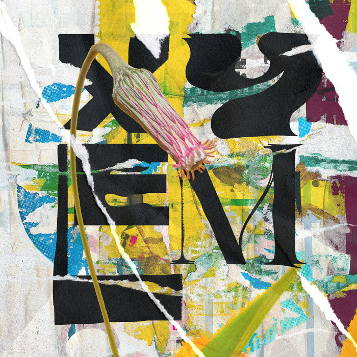 Xylem Phantoms Vs Fire