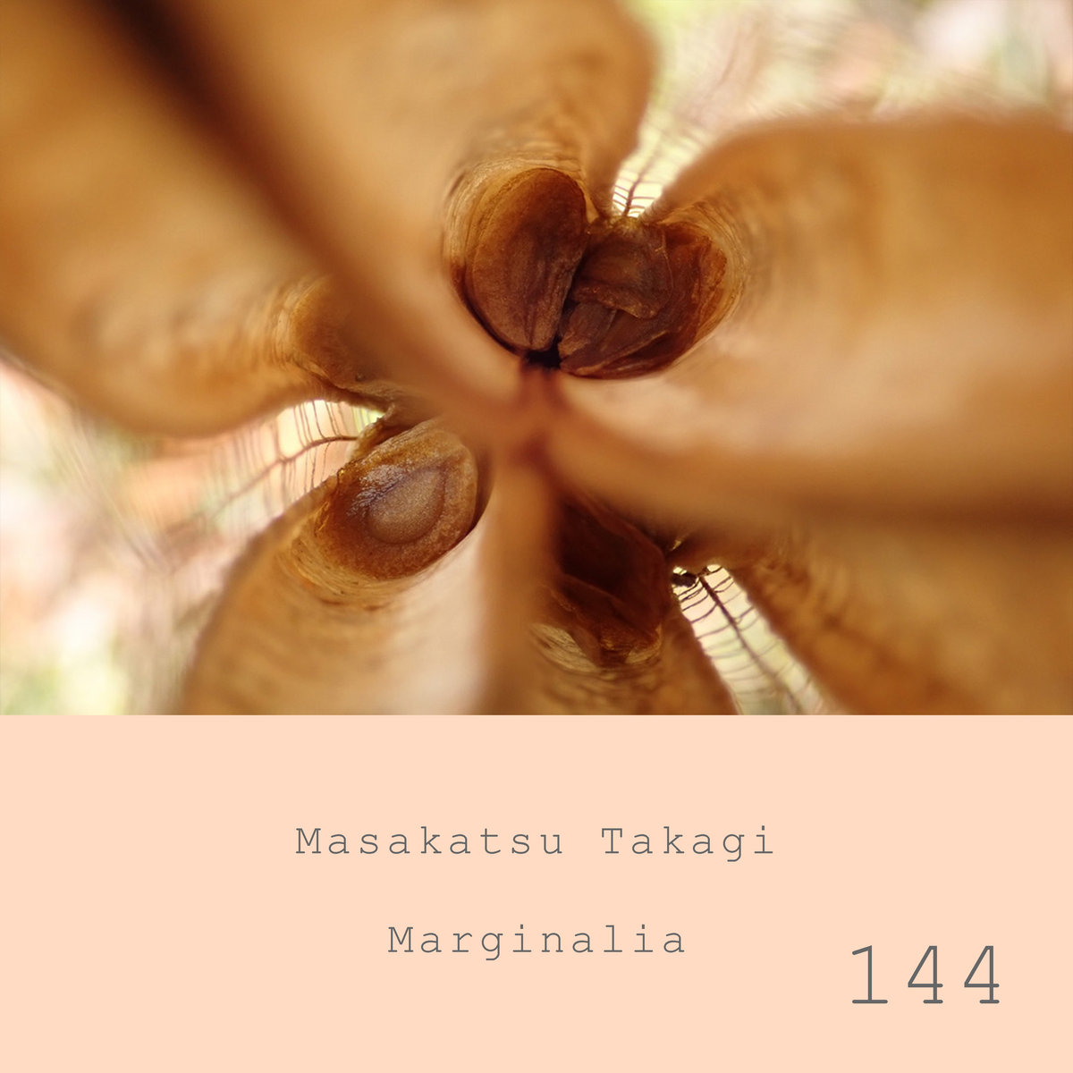Marginalia #144 | Masakatsu Takagi