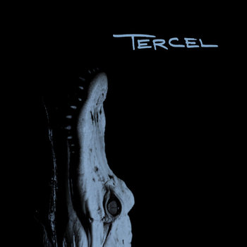 Tececel Tercel | Tercel | Fort Lowell Records