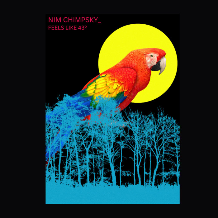 feels-like-43-nim-chimpsky-archivo-veintid-s