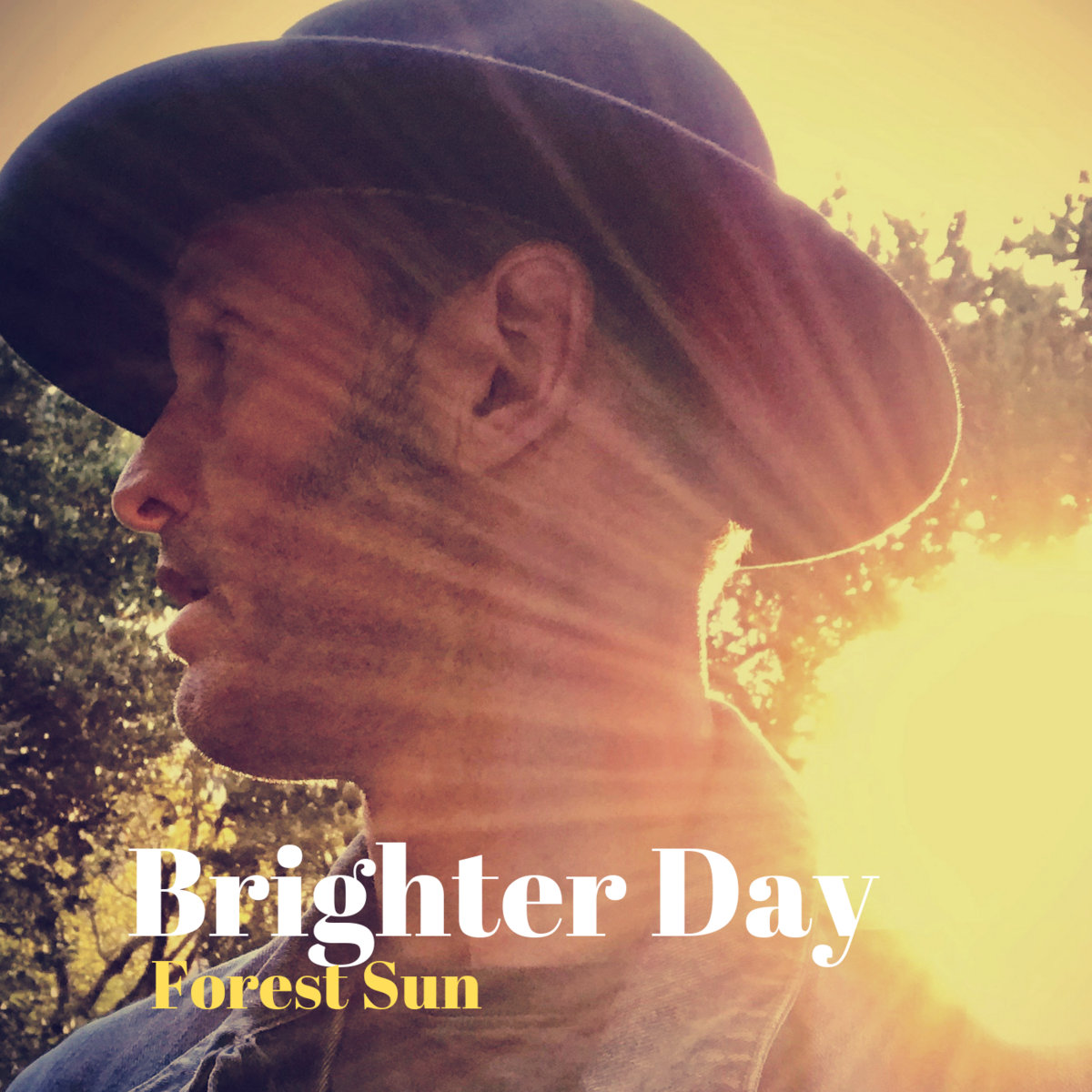 Brighter Day by Forest Sun