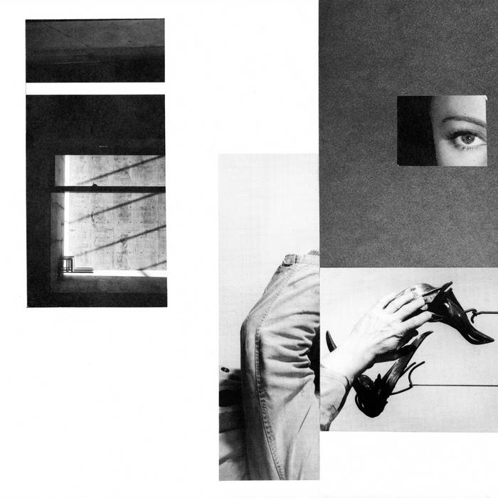 洋書 The Artist of My Experiment 洋書 The Artist of My Experiment