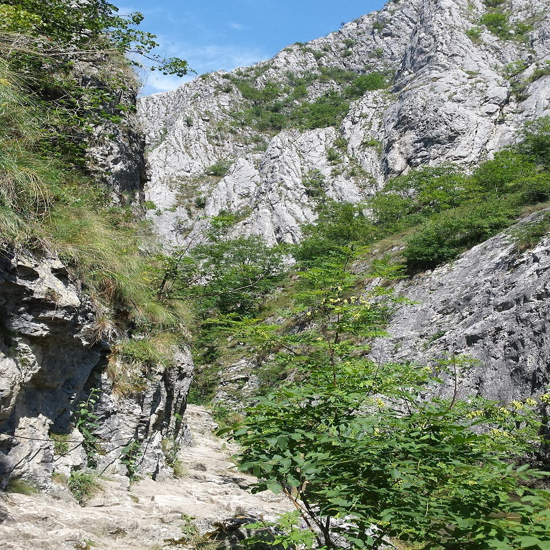 Cheile Turzii Soundscape Akashic Records