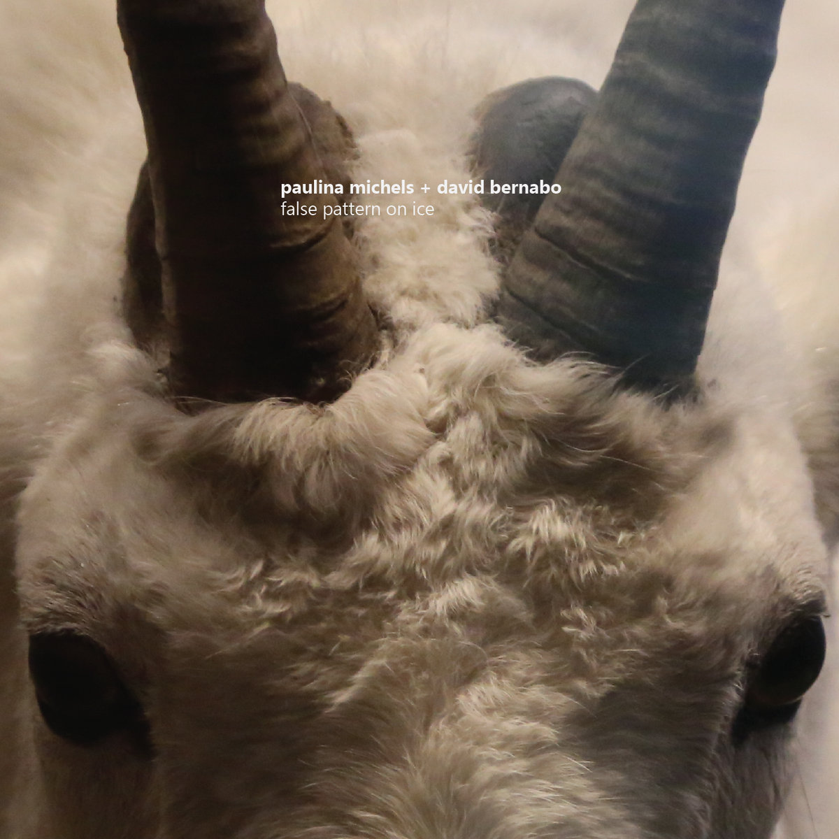 Look what's coming there here Paulina Michels + David Bernabo