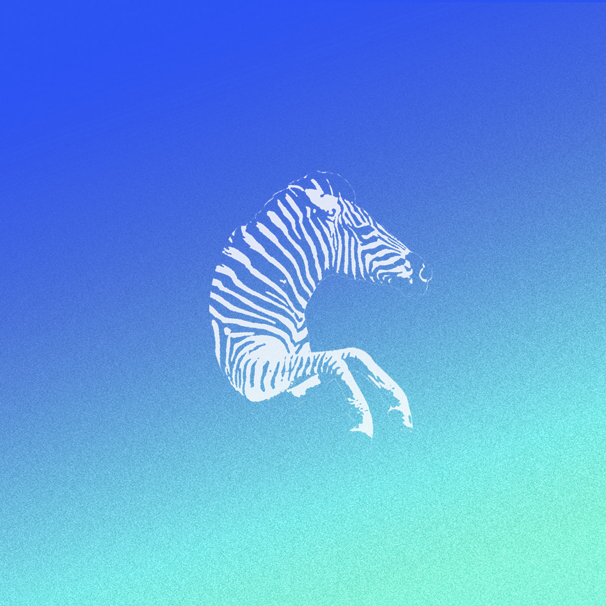 Zebre Philip Pentacle