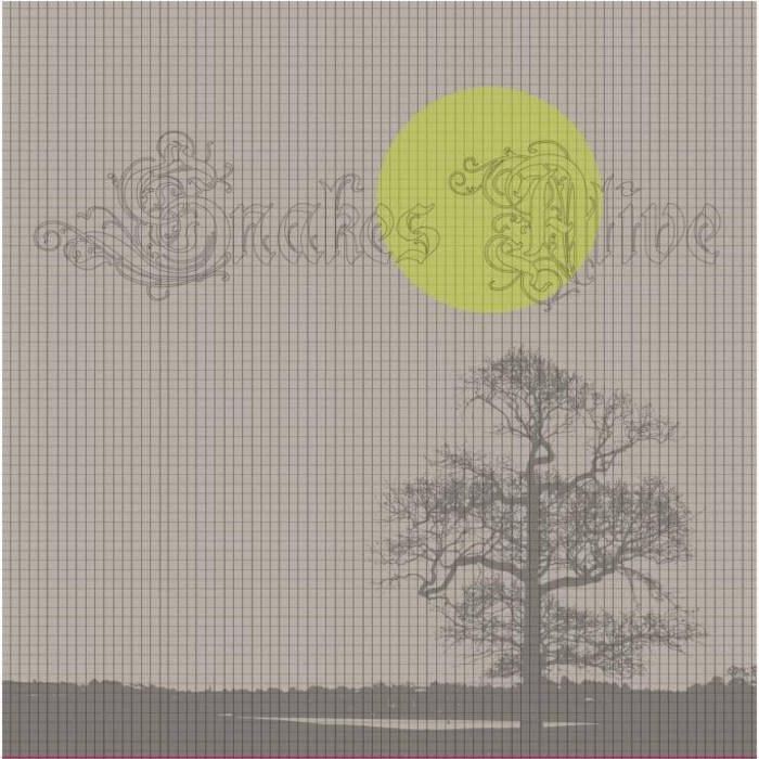 新品LP Snakes Alive / Snakes Alive Snakes Alive – Snakes Alive – 2 x Vinyl (180 Gram, LP, Album + 2