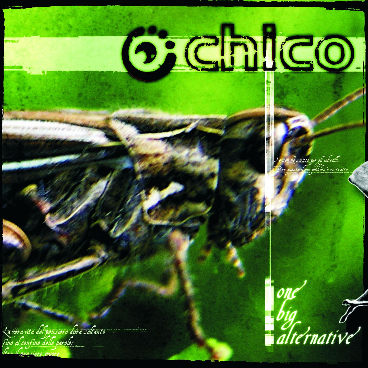One Big Alternative | Chico