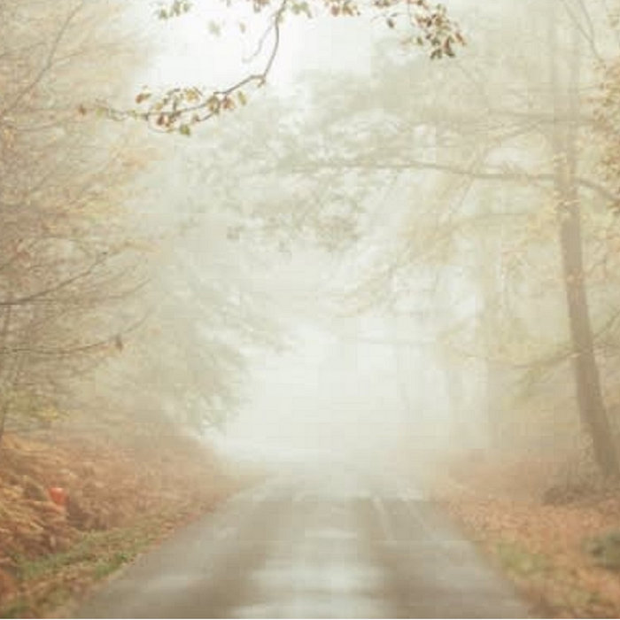 A short introduction (digital release on Bandcamp) Us and Them