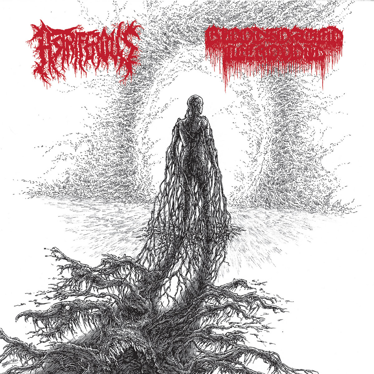 Astriferous / Bloodsoaked Necrovoid split | Seed Of Doom