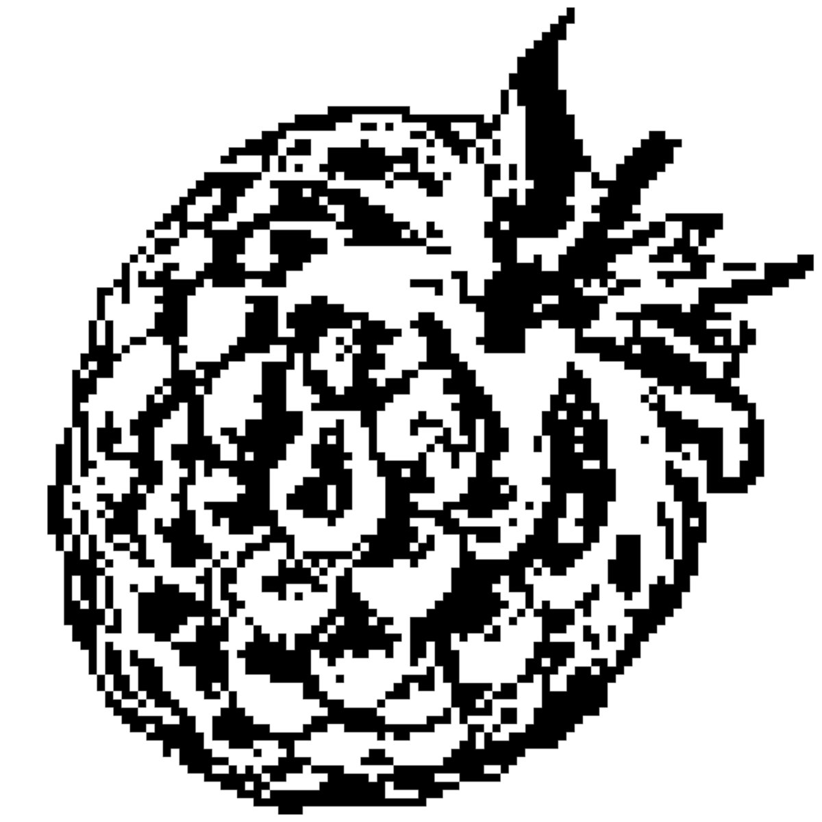 intro-the-raspberry-band