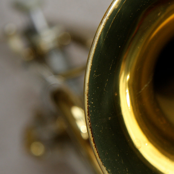 Vocal & Horn Sampler Voytek