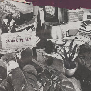 EAZYBAKED x Ranz - Snake Plant cover