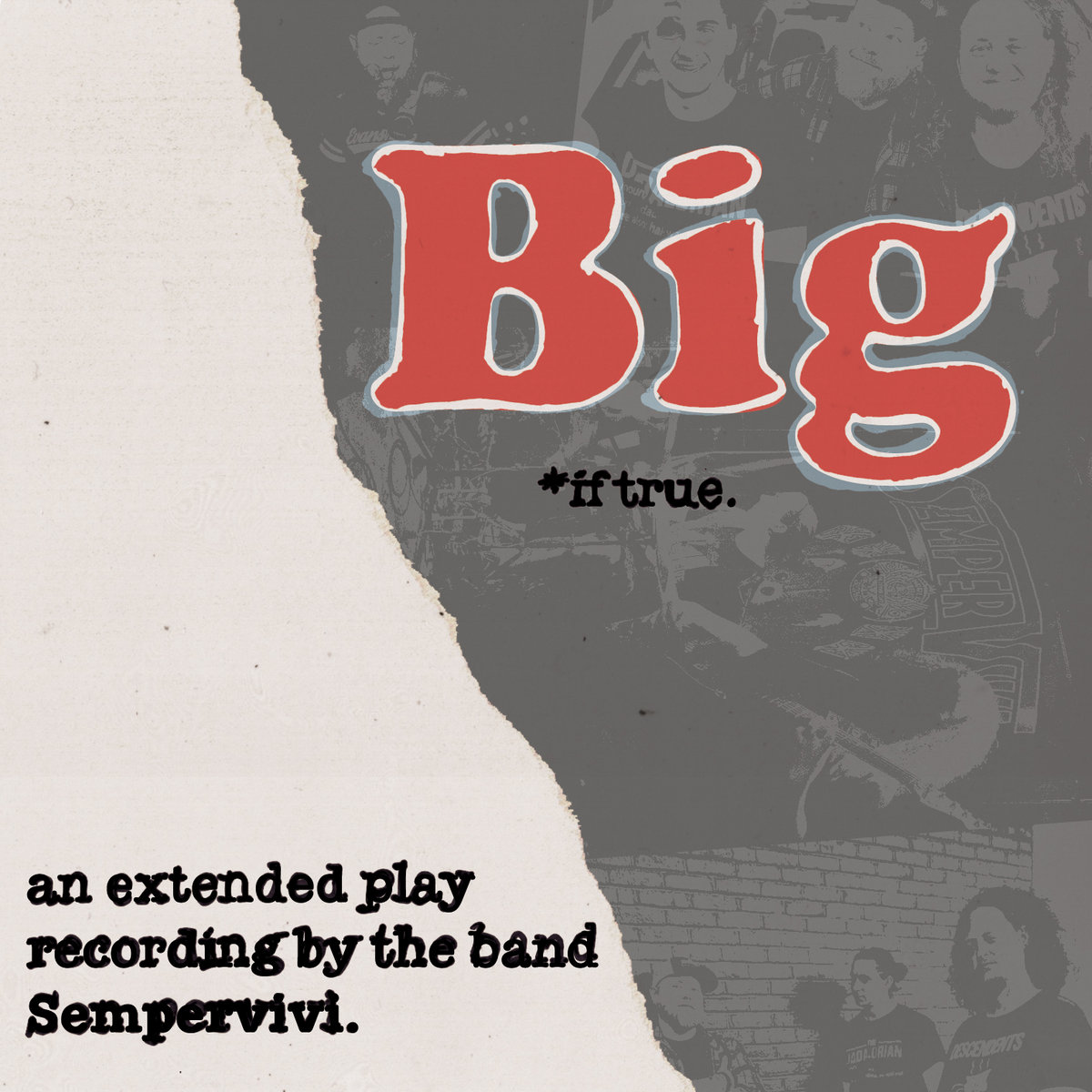 Big If True Sempervivi