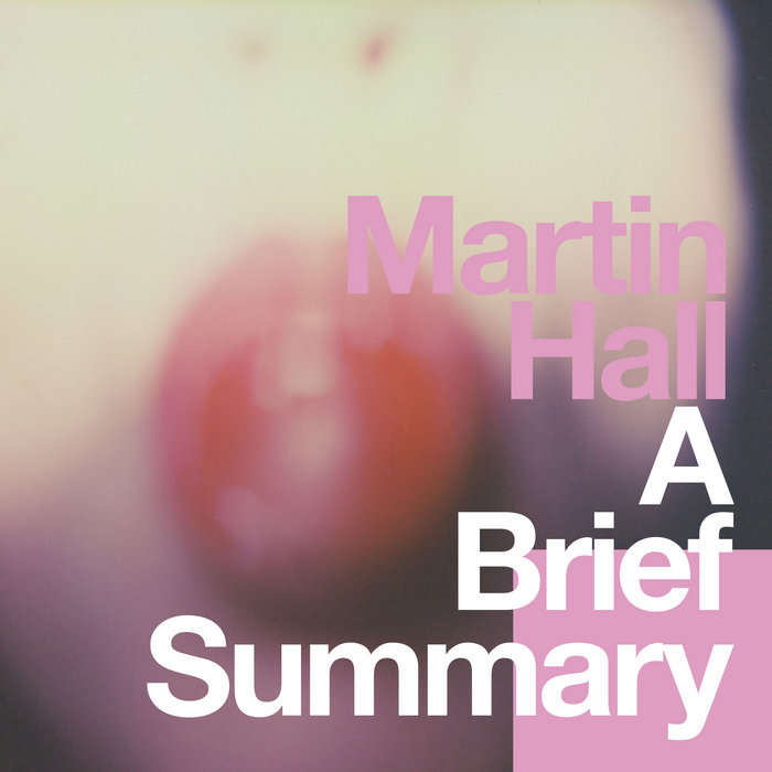 A Brief Summary | Martin Hall