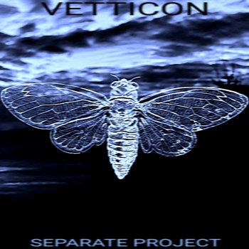 Separate Project cover art