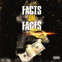 Facts on Facts cover art