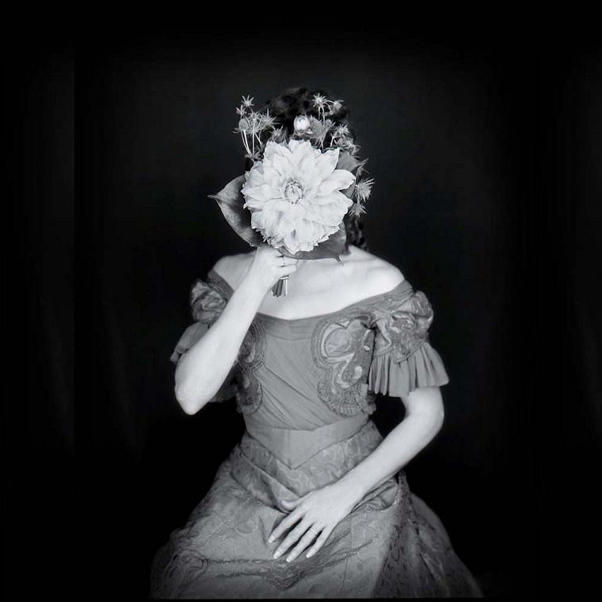 Disassociation | Ann Magnuson, image size:1200x1200