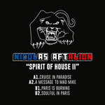 Spirit Of House II