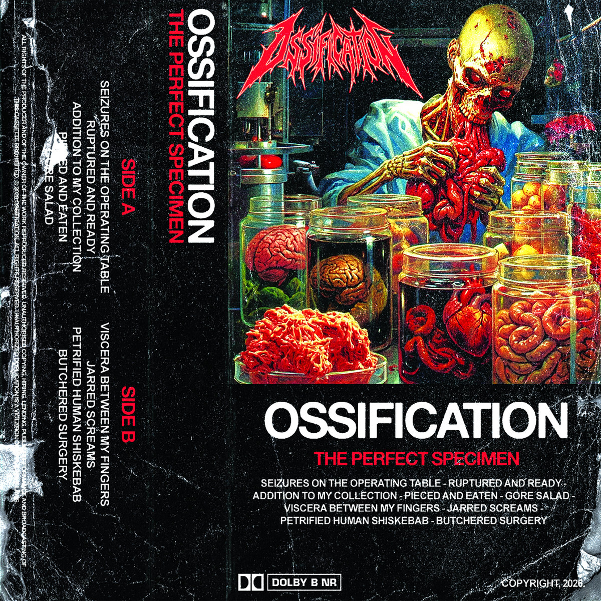 THE PERFECT SPECIMEN by OSSIFICATION