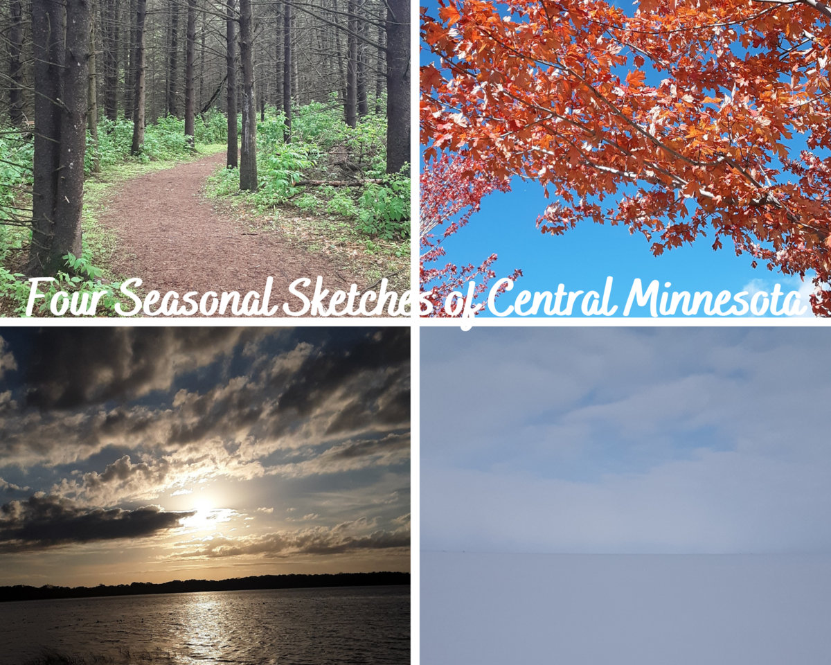 Four Seasonal Sketches of Central Minnesota | Stephanie Henry