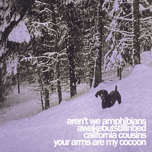 Aren't We Amphibians — fourwaysplit
