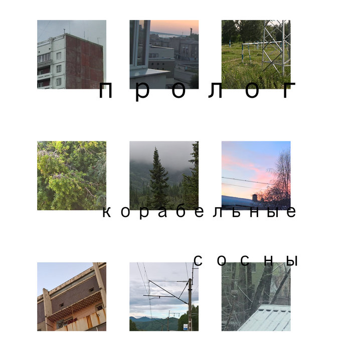 пролог | корабельные сосны