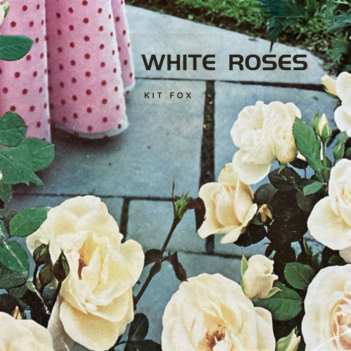 White Roses | Kit Fox