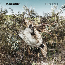 Puke Wolf - Descend