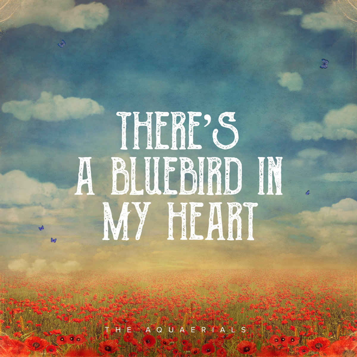 A Bluebird In My Heart Aimée Buidine
