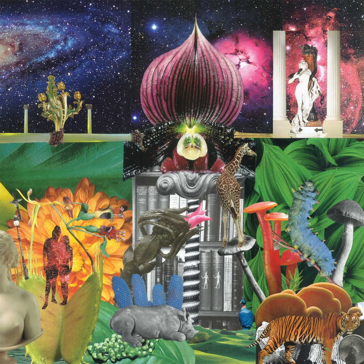 New Magnetic Wonder | The Apples in stereo