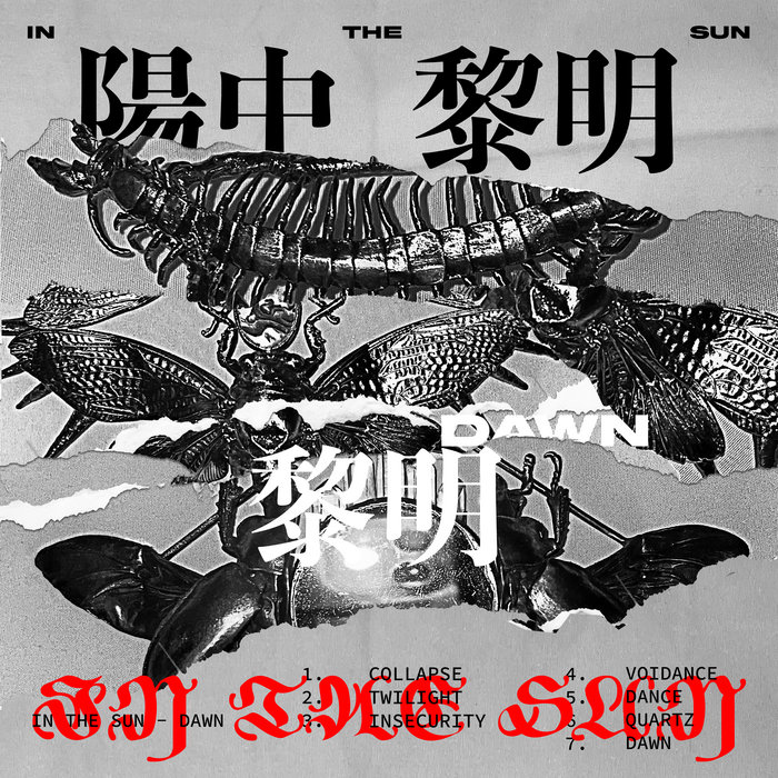 Dawn | IN THE SUN | CHINABOT