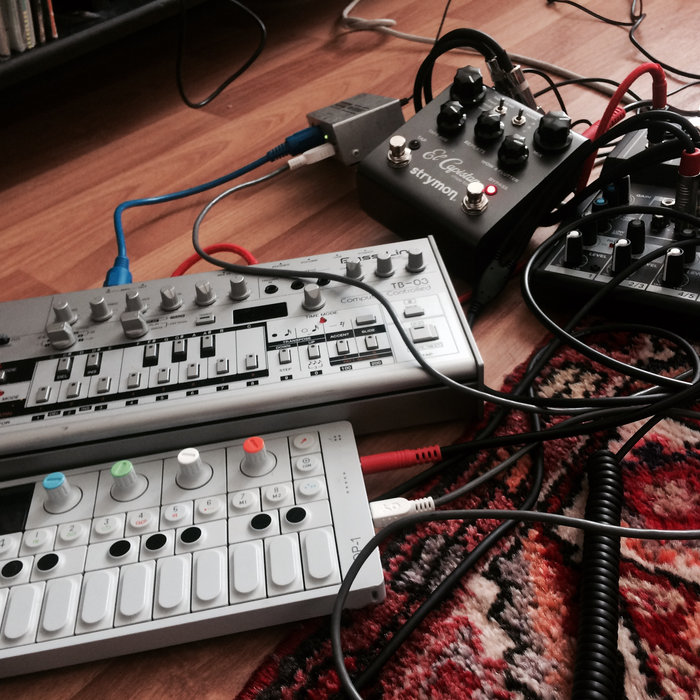 Live Elektro Instruments Electronic Picnic Live | DKSTR