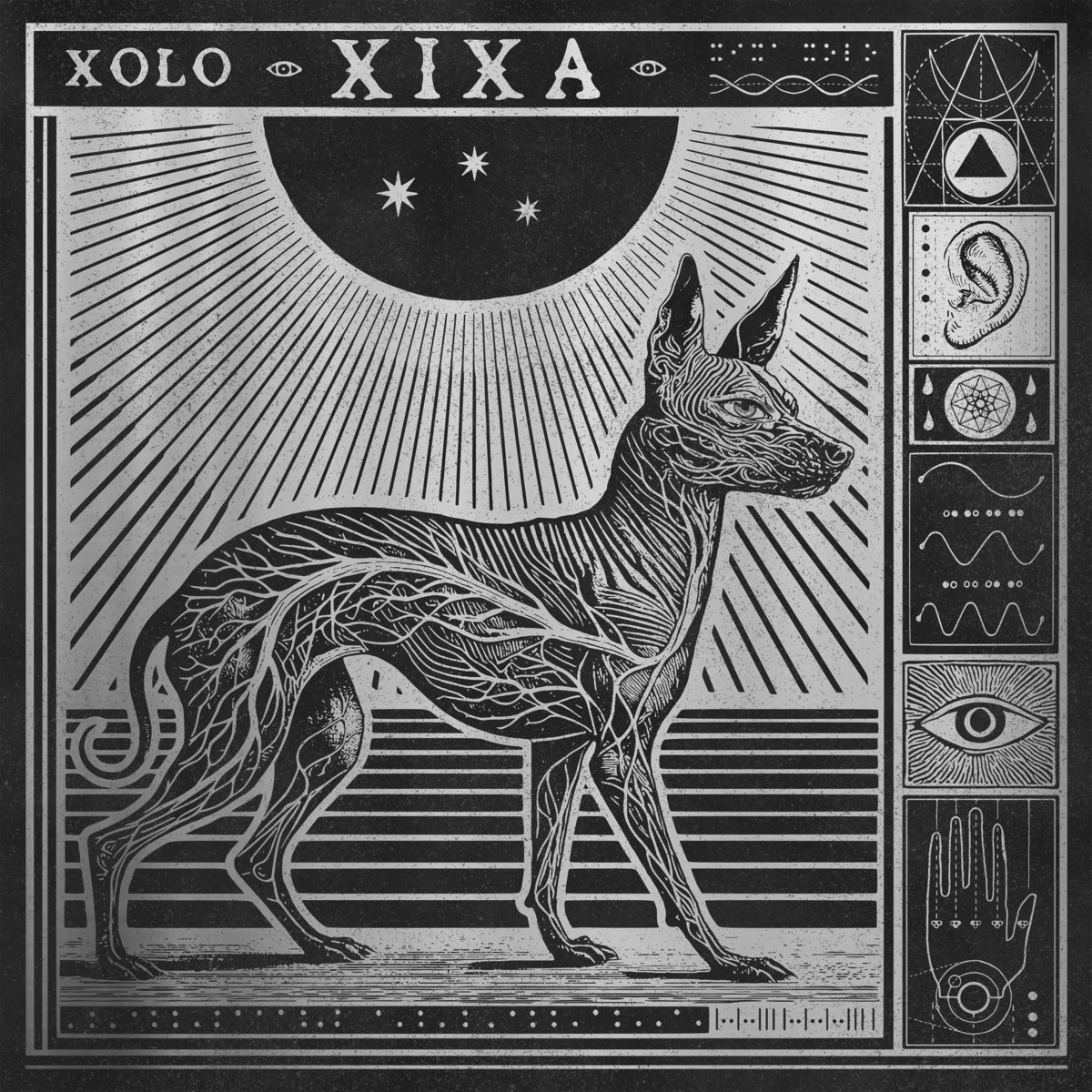 Xolo | XIXA