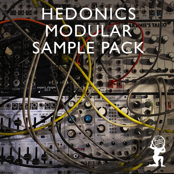 RS INTL Sample Pack VIII Eurorack Modular by Hedonics Hedonics