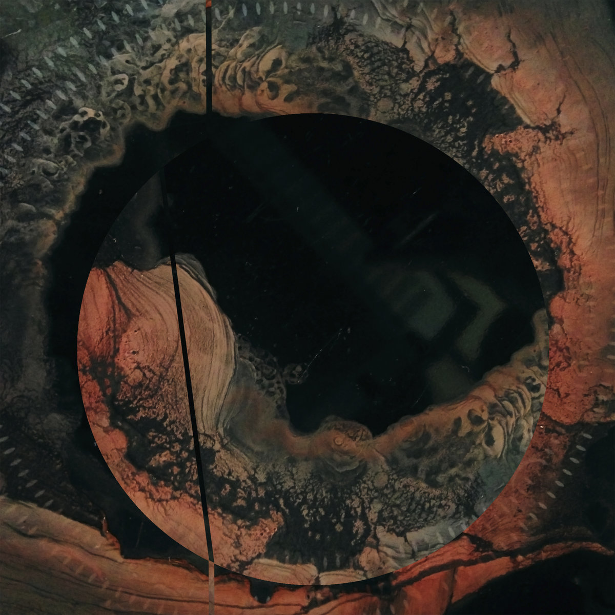 a0495230533_10.jpg