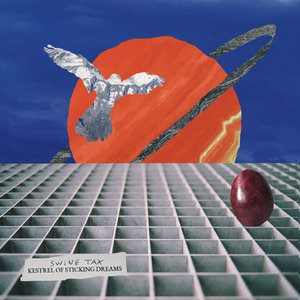 THE KESTREL OF STICKING DREAMS cover