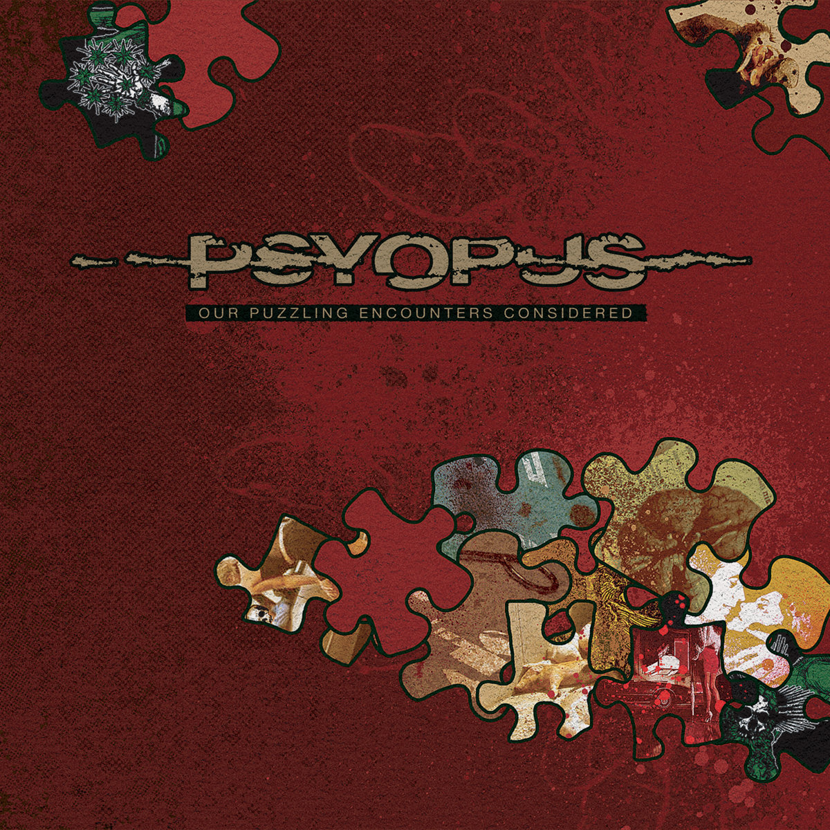 Our Puzzling Encounters Considered | Psyopus | Silent