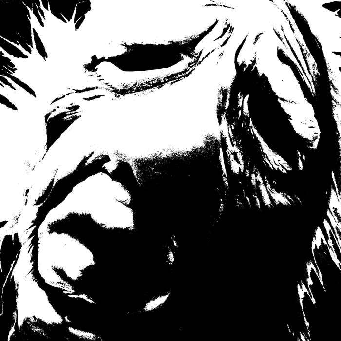 Black Widow Blues Crustermutt