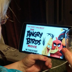 Angry Birds (Single) cover