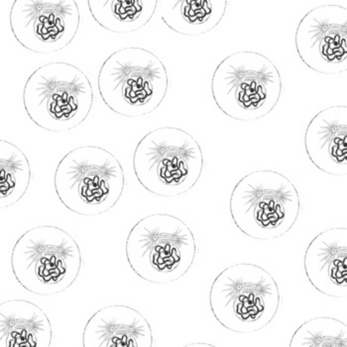 Lost Trail Un Champ Blanc Sur La Montagne Noire Lost Trail