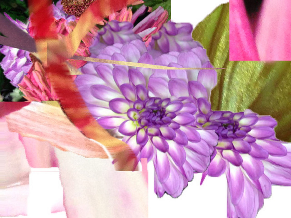 A Love Mr. Andrew's Garden