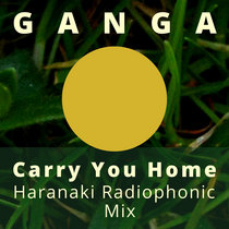 Carry you home (Haranaki Radio Phonic Mix) cover art