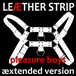 Pleasure Boys (æxtended version) Visage Cover